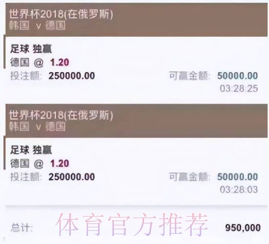 世界杯投注：正规平台全方位解析与优选推荐